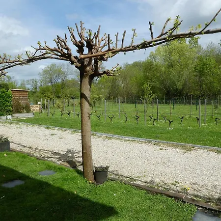 Les Platanes Latresne