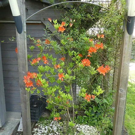 Les Platanes Vakantiehuis *