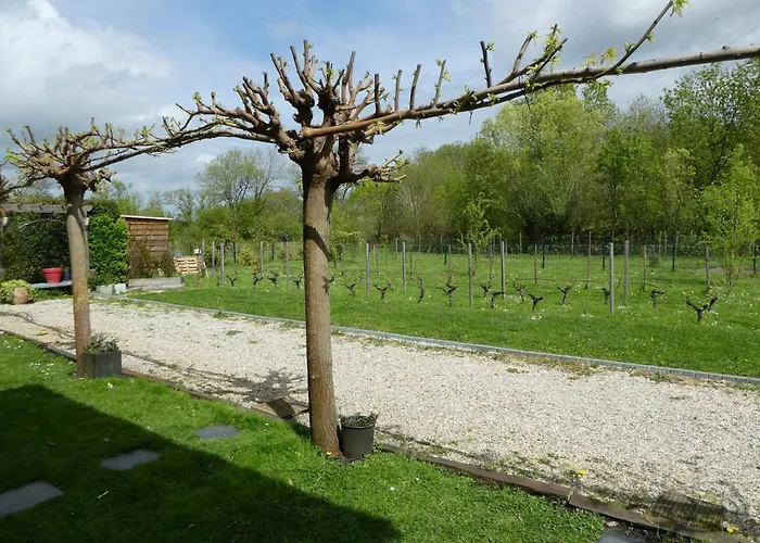 Les Platanes Latresne